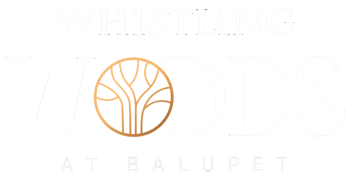 Whistling Woods
