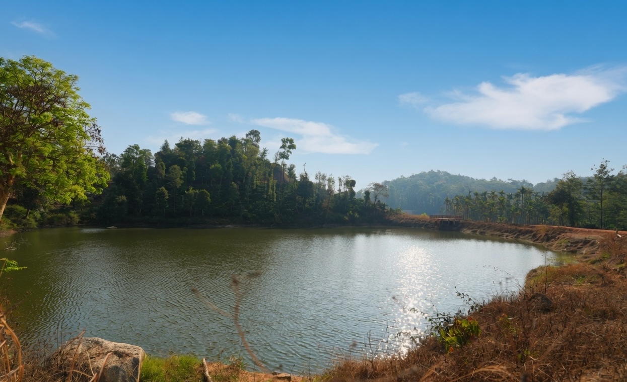 Whistling Woods — the valley
